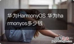 华为HarmonyOS 华为harmonyos多少钱