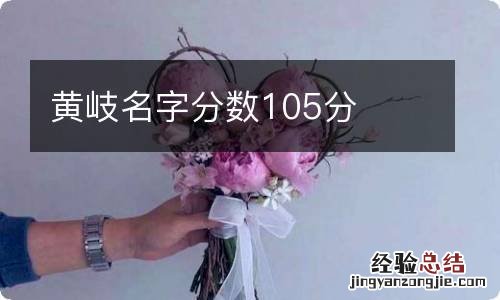 黄岐名字分数105分