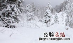 如何保存雪 保存雪的方法和技巧