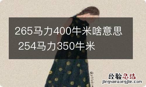 265马力400牛米啥意思 254马力350牛米