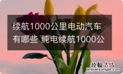 续航1000公里电动汽车有哪些 纯电续航1000公里汽车