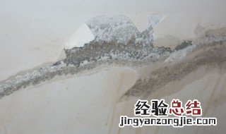 寝室墙壁渗水怎么解决 墙体渗水解决方法