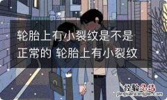 轮胎上有小裂纹是不是正常的 轮胎上有小裂纹是不是正常的图片