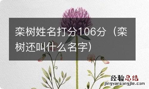 栾树还叫什么名字 栾树姓名打分106分