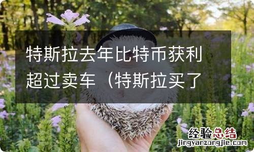 特斯拉买了15亿比特币 特斯拉去年比特币获利超过卖车