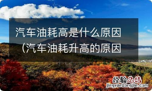 汽车油耗升高的原因有哪些 汽车油耗高是什么原因