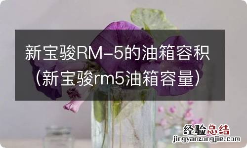 新宝骏rm5油箱容量 新宝骏RM-5的油箱容积