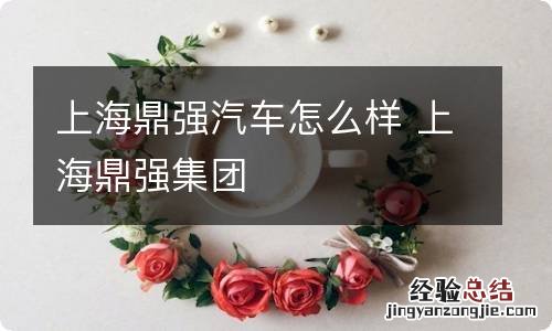 上海鼎强汽车怎么样 上海鼎强集团