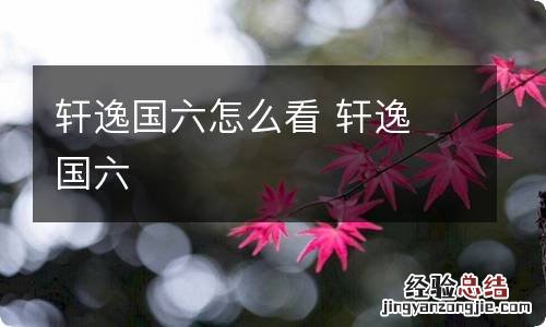轩逸国六怎么看 轩逸 国六