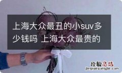 上海大众最丑的小suv多少钱吗 上海大众最贵的suv是哪一款