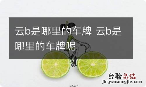 云b是哪里的车牌 云b是哪里的车牌呢