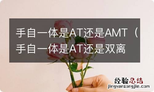 手自一体是AT还是双离合 手自一体是AT还是AMT