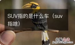 suv指啥 SUV指的是什么车