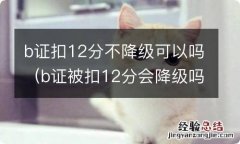 b证被扣12分会降级吗 b证扣12分不降级可以吗