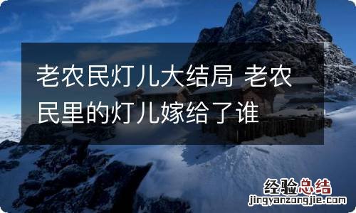 老农民灯儿大结局 老农民里的灯儿嫁给了谁