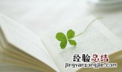 幸运草的花语是什么 幸运草寓意的优美句子