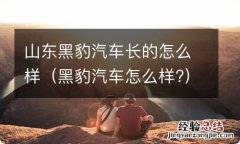 黑豹汽车怎么样? 山东黑豹汽车长的怎么样