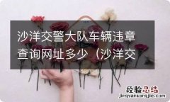 沙洋交管局电话 沙洋交警大队车辆违章查询网址多少