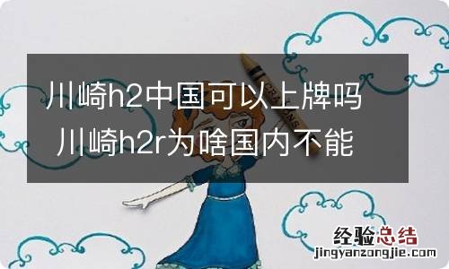 川崎h2中国可以上牌吗 川崎h2r为啥国内不能上牌