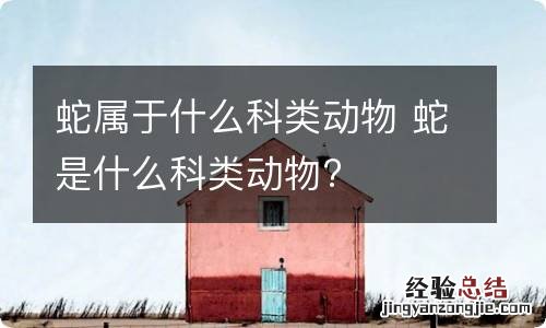 蛇属于什么科类动物 蛇是什么科类动物?