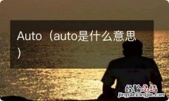 auto是什么意思 Auto