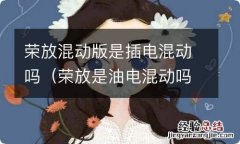 荣放是油电混动吗 荣放混动版是插电混动吗