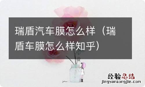 瑞盾车膜怎么样知乎 瑞盾汽车膜怎么样