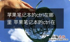 苹果笔记本的ctrl在哪里 苹果笔记本的ctrl在什么地方