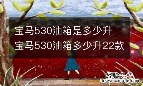 宝马530油箱是多少升 宝马530油箱多少升22款车