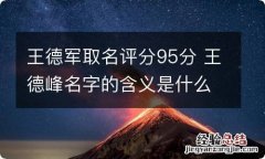 王德军取名评分95分 王德峰名字的含义是什么