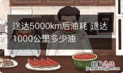 途达5000km后油耗 途达1000公里多少油