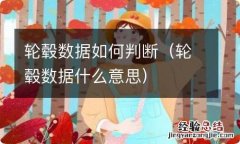 轮毂数据什么意思 轮毂数据如何判断