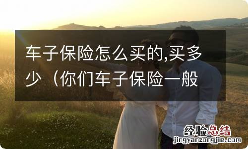 你们车子保险一般买多少 车子保险怎么买的,买多少