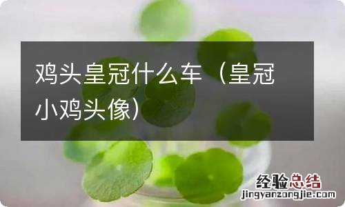 皇冠小鸡头像 鸡头皇冠什么车