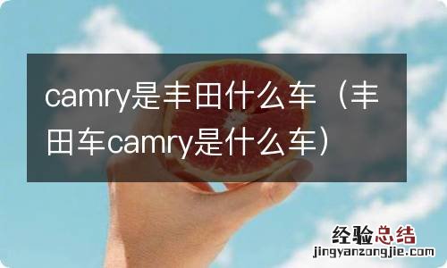 丰田车camry是什么车 camry是丰田什么车