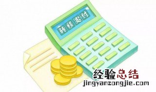 转移支付是什么 转移支付的慨念