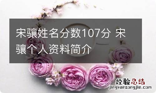 宋骧姓名分数107分 宋骧个人资料简介