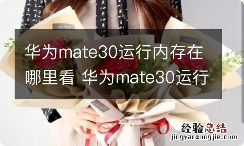 华为mate30运行内存在哪里看 华为mate30运行内存如何看