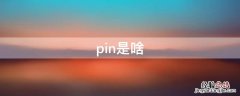 pin是啥