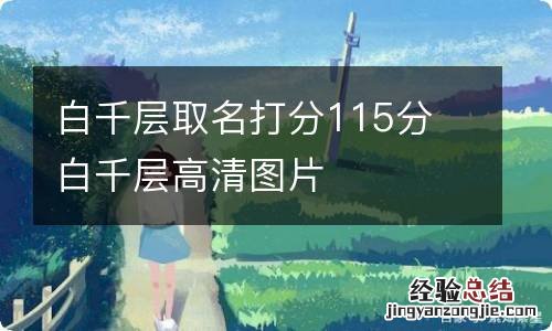 白千层取名打分115分 白千层高清图片