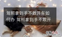 驾照拿到手不敢开车如何办 驾照拿到手不敢开车怎么办