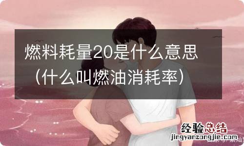 什么叫燃油消耗率 燃料耗量20是什么意思