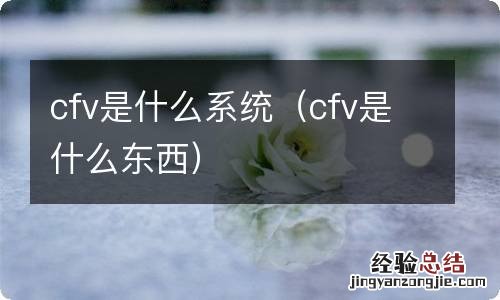 cfv是什么东西 cfv是什么系统