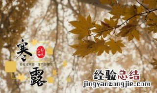 寒露节气是什么时候 今天的寒露节气是什么时间