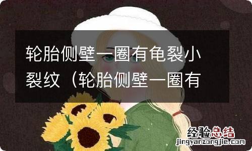 轮胎侧壁一圈有龟裂小裂纹怎么办 轮胎侧壁一圈有龟裂小裂纹