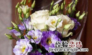 洋桔梗花又叫什么名字 洋桔梗花的花语和传说