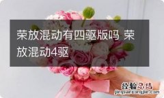 荣放混动有四驱版吗 荣放混动4驱