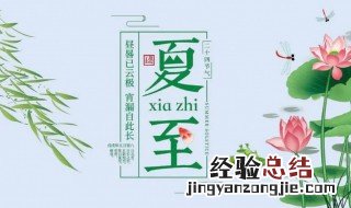 夏至是24节气之一吗 夏至是24节气的第几个节气