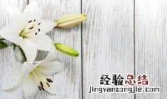 送给老师的花