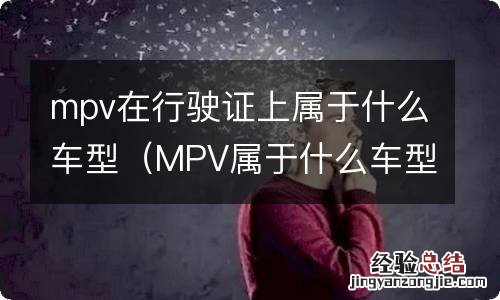 MPV属于什么车型 mpv在行驶证上属于什么车型